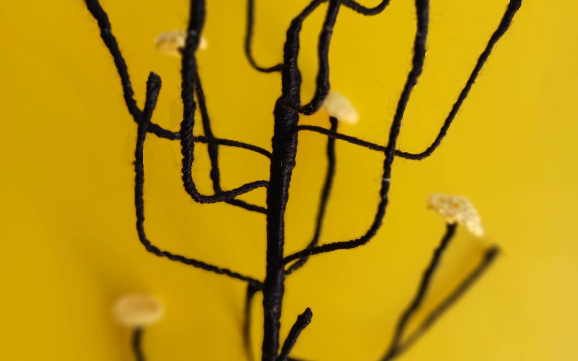 easy crochet flower pattern gothic fantasy crochet bouquet amigurumi crochet pattern beginner crochet flower pattern PDF