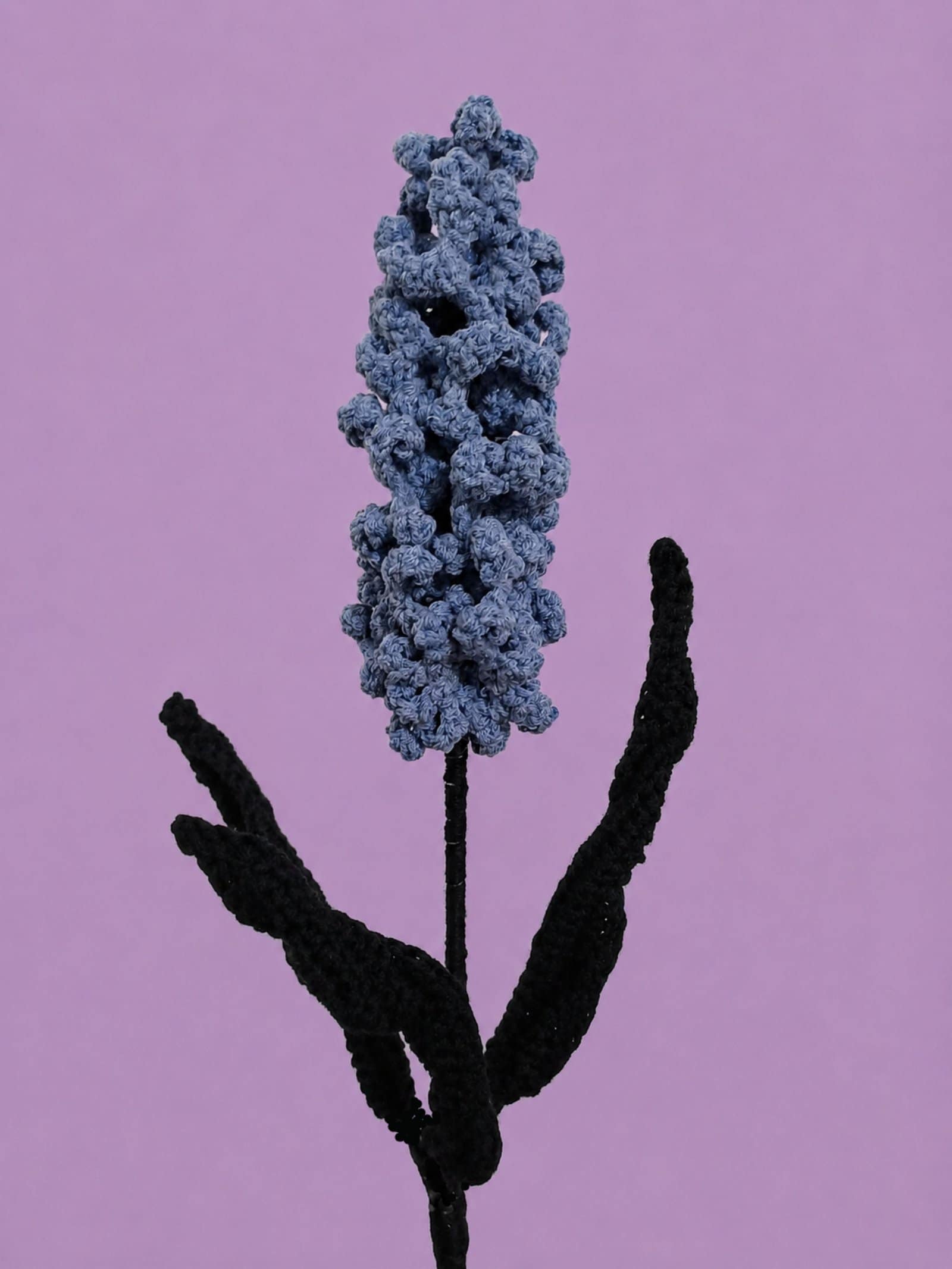 crochet patterns bouquets and flowers, beginner friendly easy fast gifts and home decor, gothic, fantasy, dark, moody, halloween crochet patterns, realistic wildflowers, unique instant download pdf, DIY wedding decorations, housewarming keepsakes, favors, flower pots, goth, crochet flower bundle, crocheters crafters, diy lovers yarn, vase filler, sustainable, modern, romantic, amigurumi, botanical art, personalized, cotaggecore, cotton yarn for crochet aesthetic,