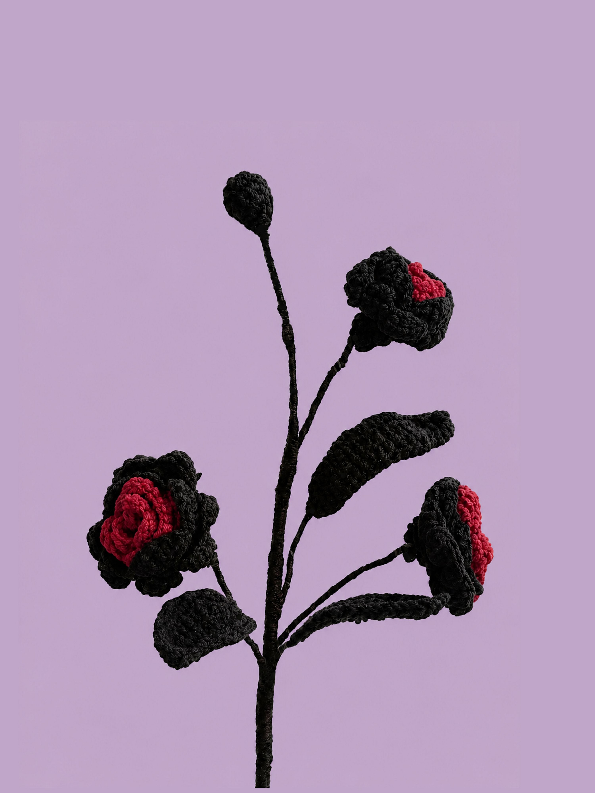 crochet patterns bouquets and flowers, beginner friendly easy fast gifts and home decor, gothic, fantasy, dark, moody, halloween crochet patterns, realistic wildflowers, unique instant download pdf, DIY wedding decorations, housewarming keepsakes, favors, flower pots, goth, crochet flower bundle, crocheters crafters, diy lovers yarn, vase filler, sustainable, modern, romantic, amigurumi, botanical art, personalized, cotaggecore, cotton yarn for crochet aesthetic,