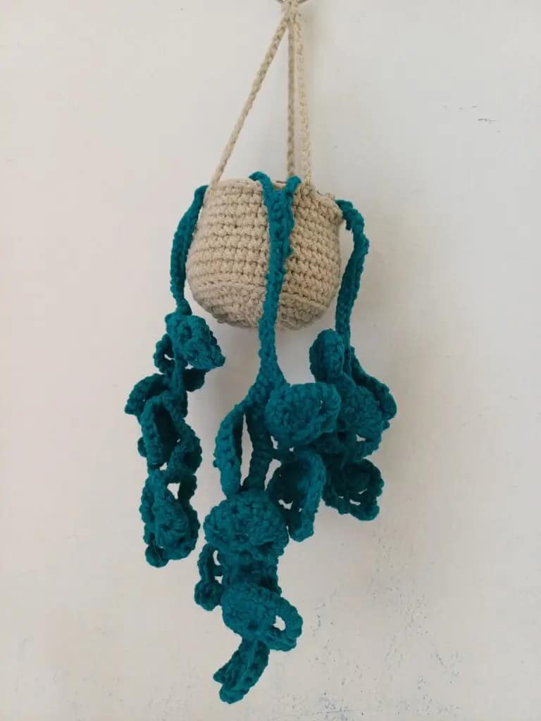 crocheted hanging pot with green plant